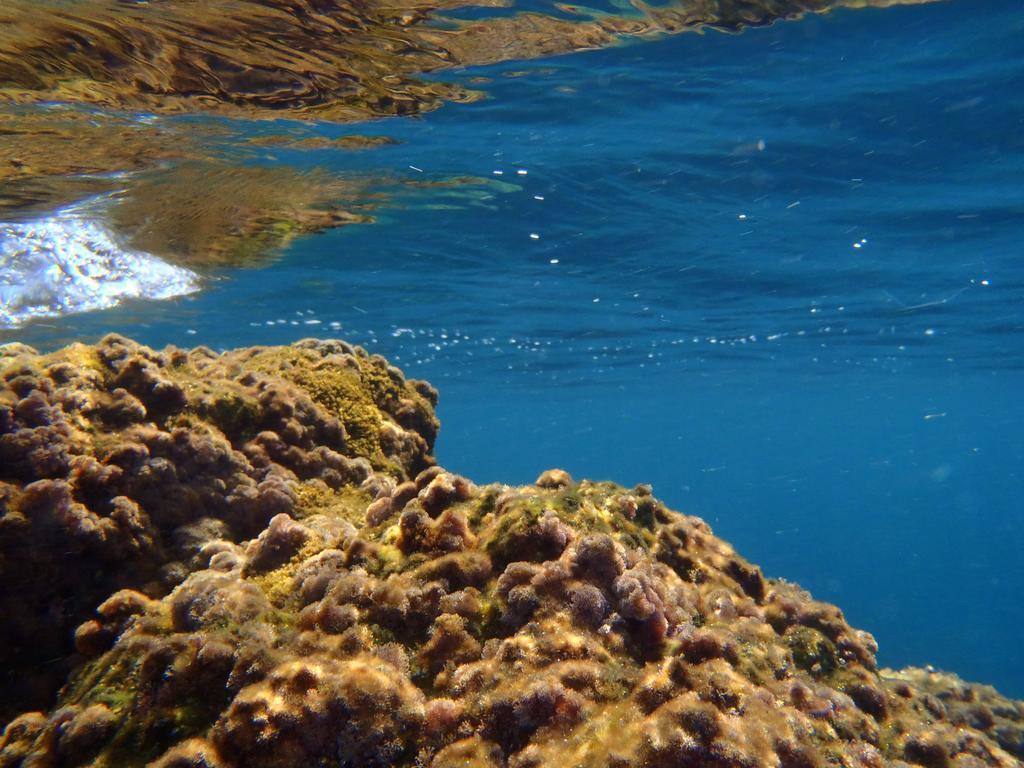 Le Casette Sul Mare Capo Vaticano Dış mekan fotoğraf